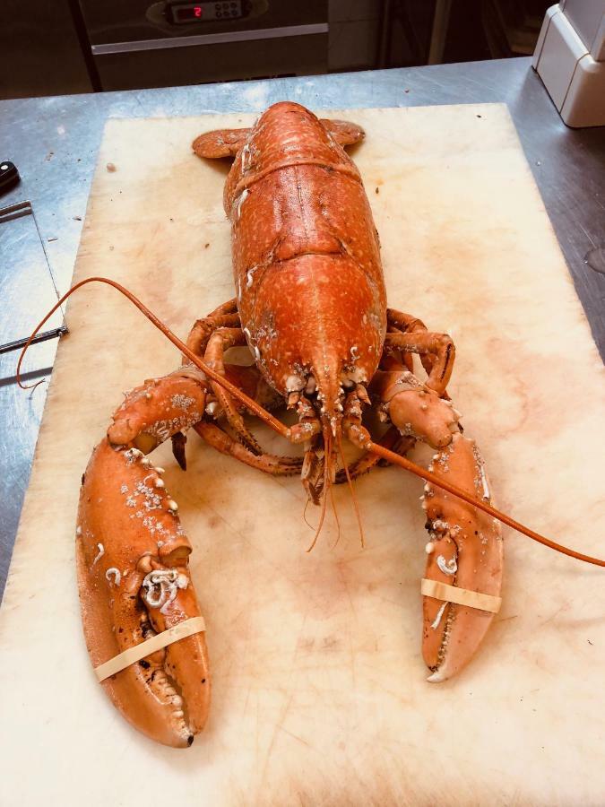 Le Parc Aux Huitres Hotel Cayeux-sur-Mer Eksteriør billede